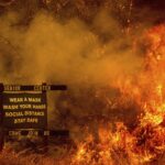 Battling the Haze: Understanding Wildfires and the Importance of N95 Respirators